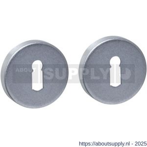 Intersteel 3410 sleutelrozetten verdekt diameter 53x9 mm RVS getrommeld - S26010861 - afbeelding 1