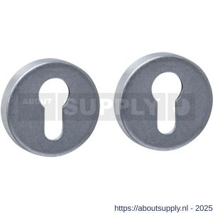 Intersteel 3410 cilinderrozetten verdekt diameter 53x9 mm RVS getrommeld - S26010860 - afbeelding 1