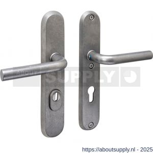Intersteel 3787 SKG3 veiligheidsbeslag ovaal 250x50 mm kruk-kruk Luzern met veerconstructie profielcilindergat 72 mm met kerntrekbeveiliging RVS getrommeld - S26010857 - afbeelding 1
