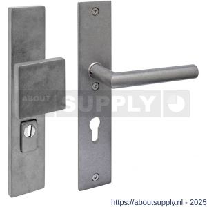 Intersteel 3962 SKG3 veiligheidsbeslag rechthoekig 250x50 mm greep-kruk Jura profielcilindergat 72 mm met kerntrekbeveiliging RVS getrommeld - S26010850 - afbeelding 1