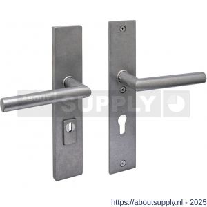 Intersteel 3964 SKG3 veiligheidsbeslag rechthoekig 250x50 mm kruk-kruk Jura met veerconstructie profielcilindergat 72 mm met kerntrekbeveiliging RVS getrommeld - S26010848 - afbeelding 1