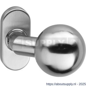 Intersteel 0773 knopkruk Bol brandvertragend 9 mm op rozet verdekt ovaal 65x30x10 mm RVS - S26000960 - afbeelding 1