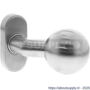 Intersteel 0779 knop 077902 bol-schuin brand vertragend vast op rozet ovaal 65x30x10 mm tapgat M6 RVS - S26000973 - afbeelding 1