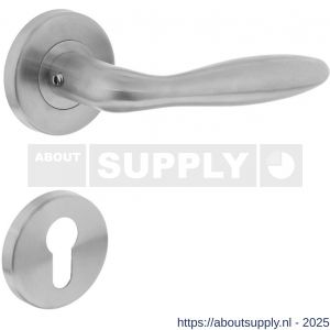 Intersteel 1013 deurkruk Jupiter op rozet verdekt diameter 55x8 mm met nokken en cilinderrozetten RVS - S26005495 - afbeelding 1
