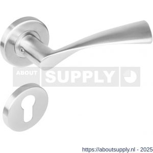 Intersteel 1279 deurkruk Vlinder op rozet verdekt diameter 53x8 mm met nokken en cilinderrozetten RVS - S26000619 - afbeelding 1
