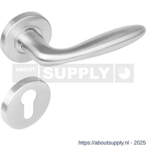 Intersteel 1281 deurkruk Jupiter op rozet verdekt diameter 53x8 mm met nokken en cilinderrozetten RVS - S26000627 - afbeelding 1