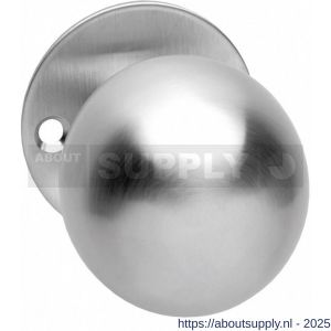 Intersteel 2165 knop bol vast op rozet 2 mm RVS - S26000996 - afbeelding 1