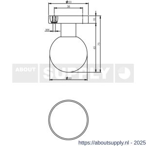 Intersteel 2165 knop bol vast op rozet 10 mm verdekt RVS - S26000998 - afbeelding 2