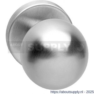 Intersteel 2165 knop bol vast op rozet 10 mm verdekt RVS - S26000998 - afbeelding 1