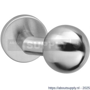 Intersteel 2165 knop bol-schuin vast op rozet verdekt 10 mm RVS - S26007404 - afbeelding 1