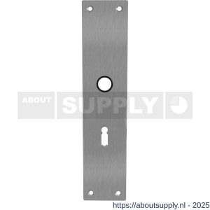 Intersteel 2688 schild renovatie rechthoekig 250x55x2 mm sleutelgat 56 mm RVS - S26005853 - afbeelding 1