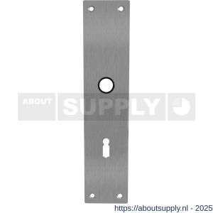 Intersteel 2688 schild renovatie rechthoekig 250x55x2 mm sleutelgat 72 mm RVS - S26005854 - afbeelding 1