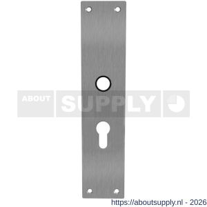 Intersteel 2688 schild renovatie rechthoekig 250x55x2 mm PC55 RVS - S26007070 - afbeelding 1