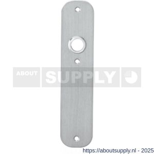 Intersteel 2698 schild plat afgerond 190x42x2 mm profielcilindergat 92 mm RVS - S26002915 - afbeelding 1
