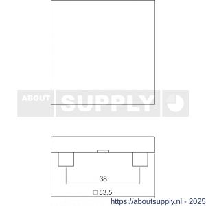 Intersteel 3510 afdekrozet verdekt 53x53x8 mm met nokken RVS - S26002400 - afbeelding 2