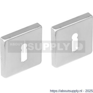 Intersteel 3510 sleutelrozetten verdekt 53x53x8 mm met nokken RVS - S26011383 - afbeelding 1