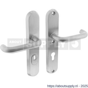 Intersteel Essentials 3785 SKG3 veiligheidsbeslag ovaal 250x50 mm kruk-kruk Rond met veerconstructie profielcilindergat 72 mm met kerntrekbeveiliging RVS - S26008592 - afbeelding 1