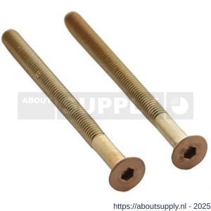 Intersteel 9904 set van 2 bouten zeskant M5x65 mm RVS PVD koper mat - S26011317 - afbeelding 1
