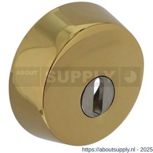 Intersteel Living 3755 SKG3 veiligheidsrozet rond diameter 59x18 mm voor oplegsloten met kerntrekbeveiliging PVD messingkleur - S26009284 - afbeelding 1