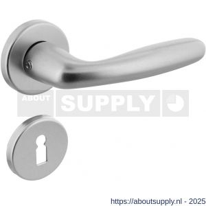 Intersteel 0072 deurkruk Sigaar met rozet verdekt diameter 50x7 mm met nokken en sleutelrozetten aluminium F1 - S26006474 - afbeelding 1