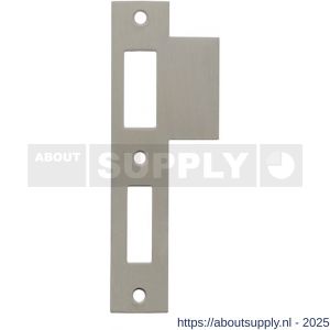 Intersteel 9509 sluitplaat voor dag- en nachtschoot voor woningbouwsloten rechthoekig met korte lip RVS - S26008902 - afbeelding 1