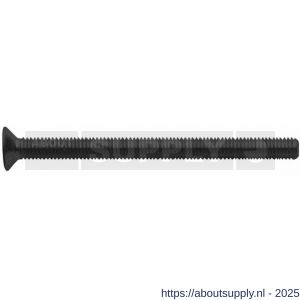 Intersteel 9901 bout zeskant M6x90 mm 10.9 voor SKG3 beslag blank (zwart) - S26000801 - afbeelding 1