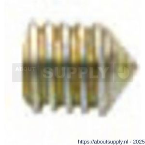 Intersteel 9904 inbusboutje conisch M6x6 mm - S26000837 - afbeelding 1