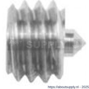 Intersteel 9904 inbusboutje met punt M6x4 mm - S26000839 - afbeelding 1
