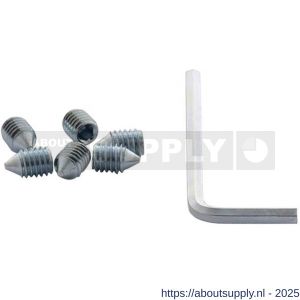 Intersteel 9904 accessoireset A 6 inbusboutjes M6x9 mm conisch en inbussleutel - S26010073 - afbeelding 1