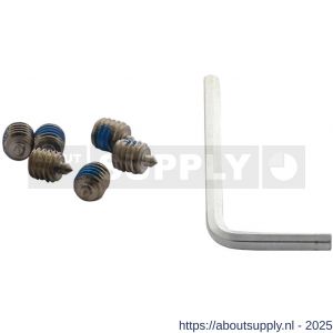 Intersteel 9904 accessoireset B 6 inbusboutjes M6x6 mm met punt en inbussleutel - S26010074 - afbeelding 1