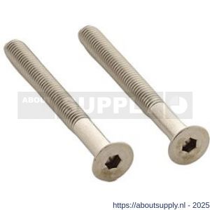 Intersteel 9904 set van 2 bouten zeskant M5x48 mm RVS - S26011318 - afbeelding 1