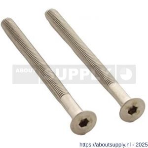 Intersteel 9904 set van 2 bouten zeskant M5x65 mm RVS - S26011319 - afbeelding 1