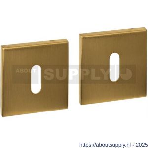Intersteel Essentials 1030 sleutelrozetten verdekt 53x53x6 mm PVD messing mat - S26010990 - afbeelding 1