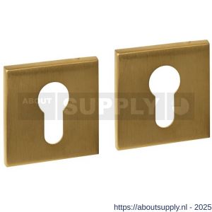 Intersteel Essentials 1030 cilinderrozetten verdekt 53x53x6 mm PVD messing mat - S26010995 - afbeelding 1