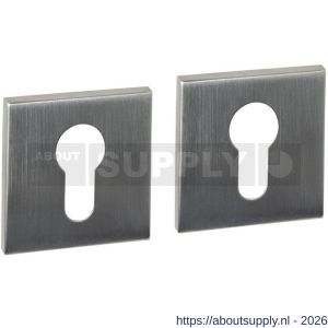 Intersteel Essentials 1030 cilinderrozetten verdekt 53x53x6 mm RVS - S26010993 - afbeelding 1