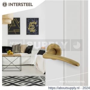 Intersteel Living 0466 deurkruk Zaia met geveerde kunststof rozet met nokken diameter 50x7 mm messing mat PVD - Y26009870 - afbeelding 2