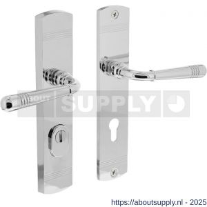 Intersteel 3777 achterdeurbeslag Emily kruk-kruk profielcilindergat 72 mm met kerntrekbeveiliging verchroomd - Y26010213 - afbeelding 1
