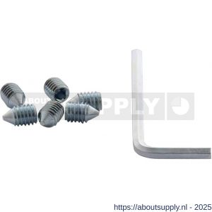 Intersteel Essentials 9904 accessoireset A 6 inbusbout M6x9 mm conisch met inbussleutel - Y26010073 - afbeelding 1