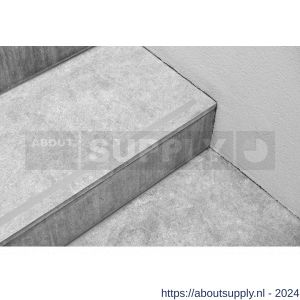 SecuCare antislip sticker langwerpig 19x600 mm binnen en buiten trap 15 treden set 15 stuks grijs - Y50750275 - afbeelding 3