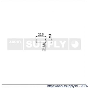 Ami deurbeslag patentbouthuls messing vernikkeld M4x22.5 mm zaagsnede set 10 stuks - S10900196 - afbeelding 2