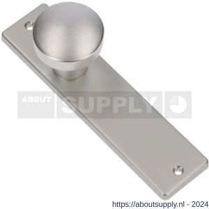 Ami 178/43 knopkortschild aluminium knop 169/50 vast kortschild 178/43 blind F1 - S10900720 - afbeelding 1