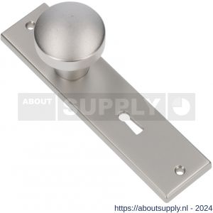 Ami 178/43 knopkortschild aluminium knop 169/50 vast kortschild 178/43 SL 72 F1 - S10900722 - afbeelding 1