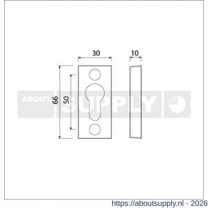 Ami 65/30 smalrozet aluminium gegoten profielcilinder PC R6.5 hartafstand 50 mm F1 - S10900490 - afbeelding 2