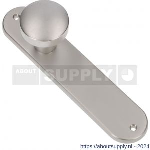 Ami 200/1/7 knoplangschild aluminium knop 169/50 vast langschild 200/1/7 blind F1 - S10900743 - afbeelding 1