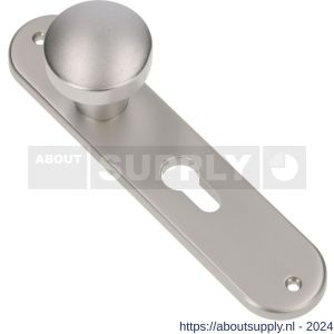 Ami 200/1/7 knoplangschild aluminium knop 169/50 vast langschild 200/1/7 PC 55 F1 - S10900746 - afbeelding 1