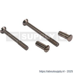 Ami patentbouthuls messing vernikkeld M5x21 mm zonder zaagsnede set 10 stuks - S10900198 - afbeelding 1