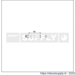 Ami patentschroef met zaagsnede RVS M6x45 mm voldraad set 10 stuks - S10900189 - afbeelding 1