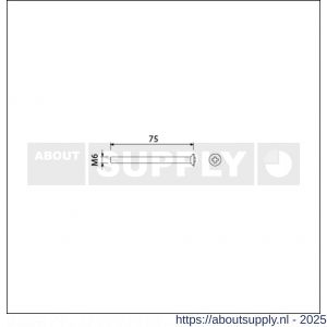 Ami patentschroef met zaagsnede RVS M6x75 mm voldraad set 10 stuks - S10900193 - afbeelding 1