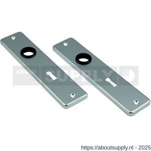 Ami 180/41 RH kortschild aluminium rondhoek sleutelgat SLG 56 F1 - S10900553 - afbeelding 3