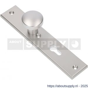 Ami 251/50/8 knoplangschild aluminium knop 169/50 vast langschild 251/50/8 profielcilinder PC 55 R6,5 F1 - S10900762 - afbeelding 3